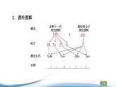 必修2生物新教材苏教版13第2课时自由组合定律pptx_4