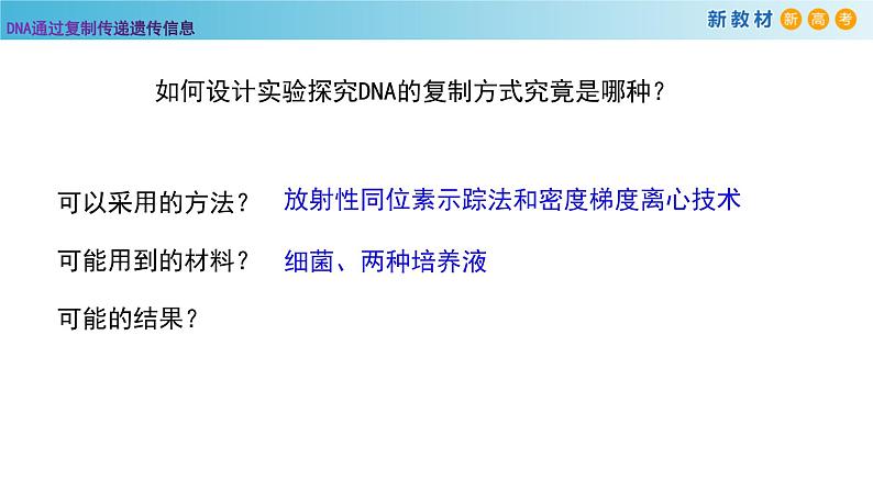 DNA通过复制传递遗传信息PPT课件免费下载03