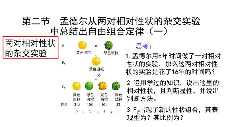 必修2生物新教材浙科121孟德尔从两对相对性状的杂交实验中总结出自由组合定律pp_3课件PPT02