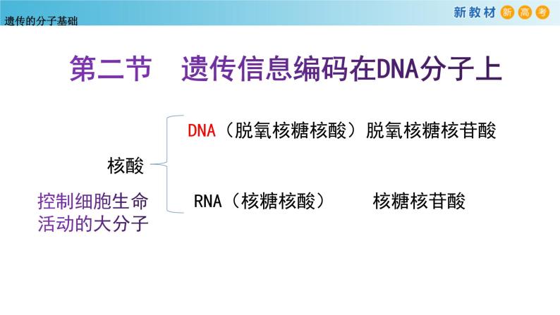 遗传信息编码在DNA分子上PPT课件免费下载02
