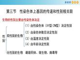 性染色体上基因的传递和性别相关联PPT课件免费下载