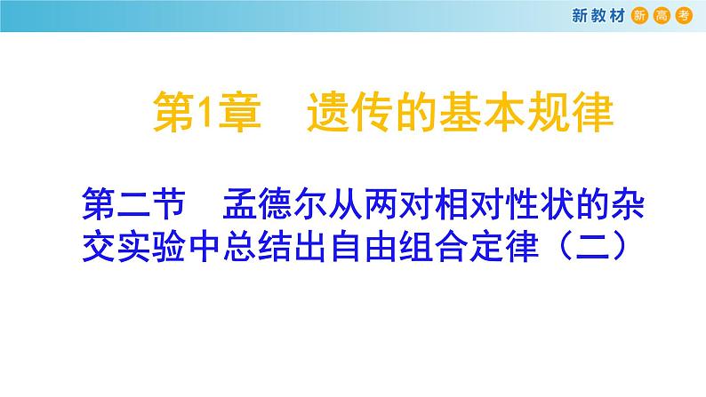 孟德尔从两对相对性状的杂交实验中总结出自由组合定律PPT课件免费下载01