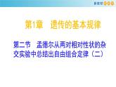 孟德尔从两对相对性状的杂交实验中总结出自由组合定律PPT课件免费下载