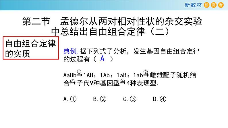 孟德尔从两对相对性状的杂交实验中总结出自由组合定律PPT课件免费下载04