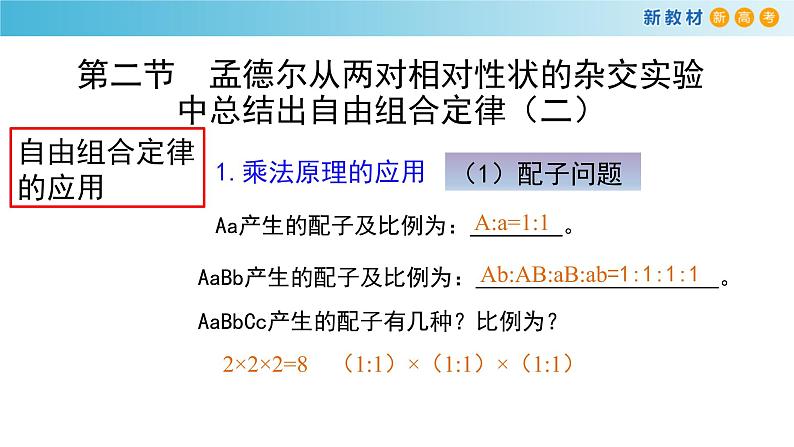 孟德尔从两对相对性状的杂交实验中总结出自由组合定律PPT课件免费下载05