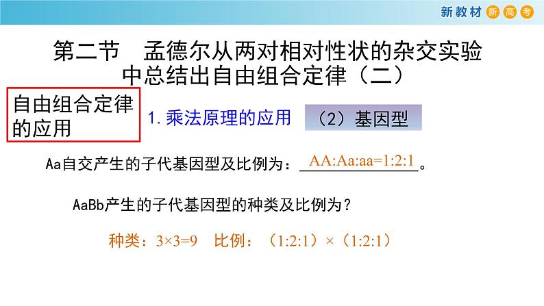 孟德尔从两对相对性状的杂交实验中总结出自由组合定律PPT课件免费下载06