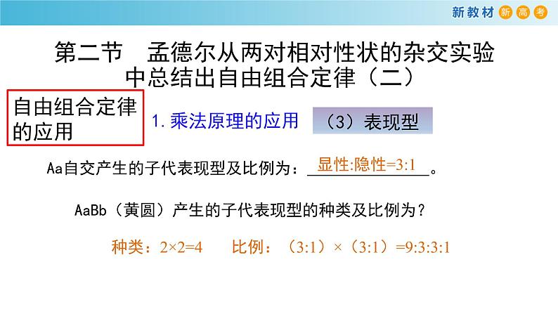 孟德尔从两对相对性状的杂交实验中总结出自由组合定律PPT课件免费下载07