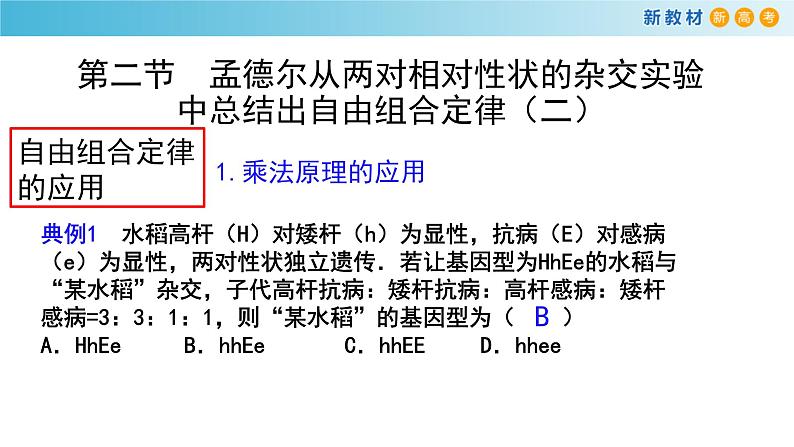 孟德尔从两对相对性状的杂交实验中总结出自由组合定律PPT课件免费下载08