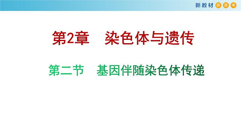 必修2生物新教材浙科22基因伴随染色体传递pptx_5第1页