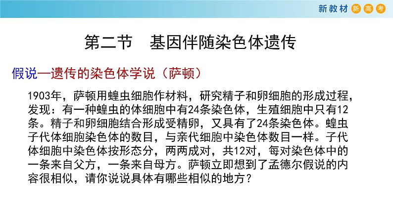 必修2生物新教材浙科22基因伴随染色体传递pptx_5第2页