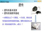 核酸是遗传物质PPT课件免费下载