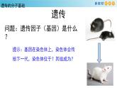 核酸是遗传物质PPT课件免费下载