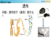 核酸是遗传物质PPT课件免费下载