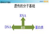 核酸是遗传物质PPT课件免费下载