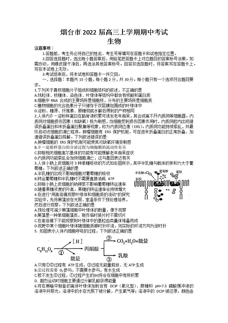 2022届山东省烟台市高三上学期期中考试生物试题（word版含有答案）01