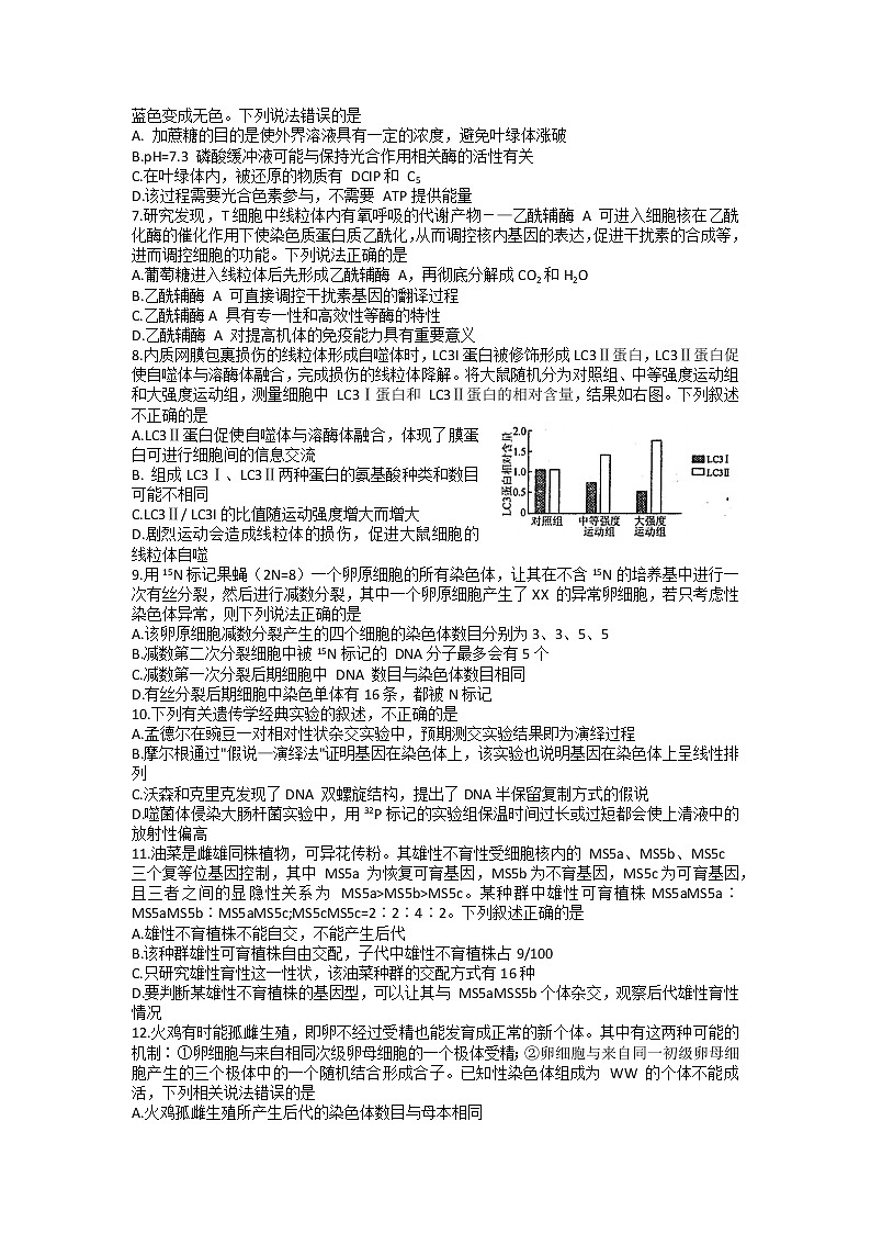2022届山东省烟台市高三上学期期中考试生物试题（word版含有答案）02