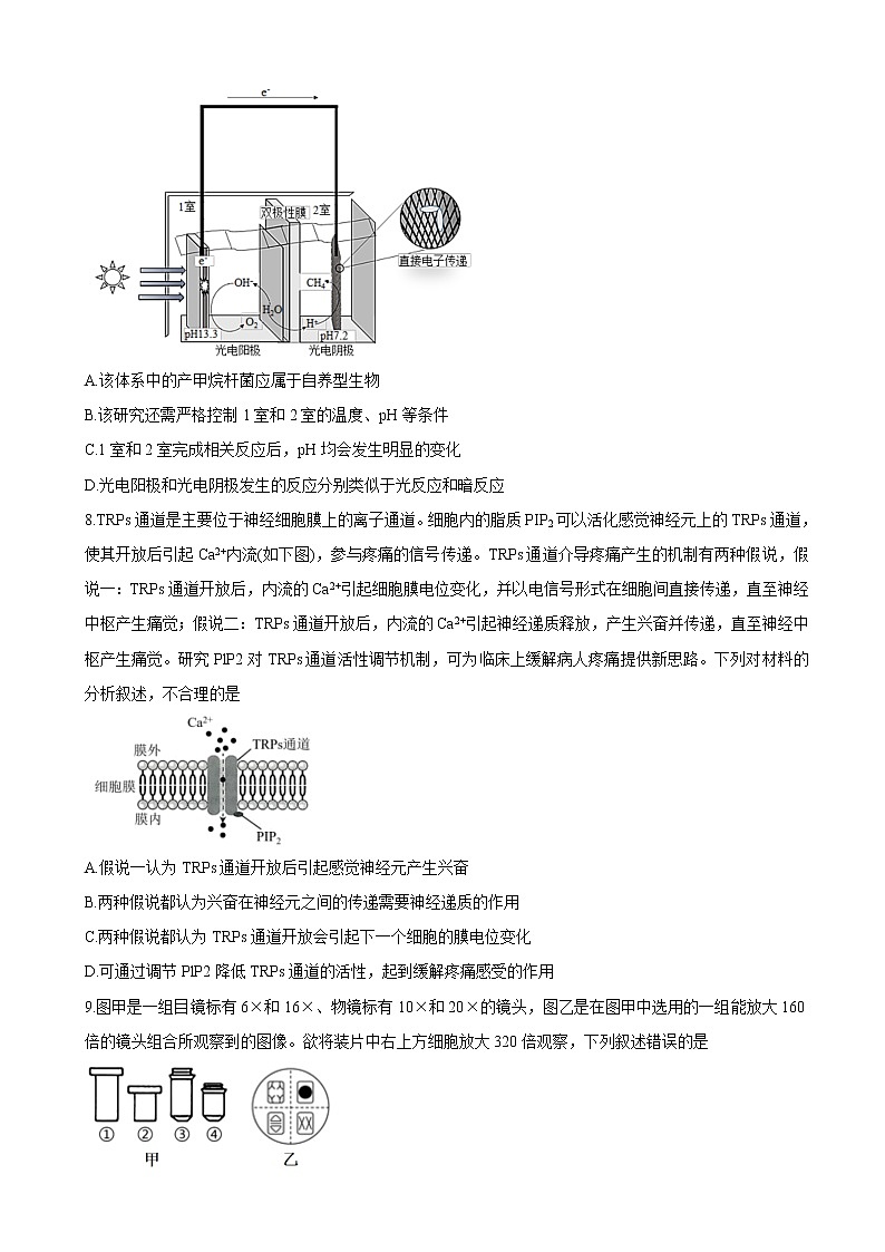 2022届新疆维吾尔自治区喀什市高三上学期全真模拟 生物word版含答案练习题第3页