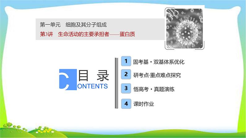 人教版高考生物总复习1.3生命活动的主要承担者—蛋白质完美课件PPT01