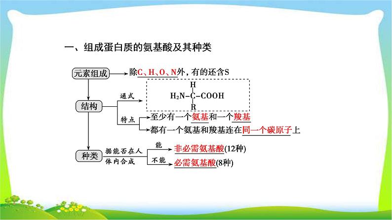 人教版高考生物总复习1.3生命活动的主要承担者—蛋白质完美课件PPT04