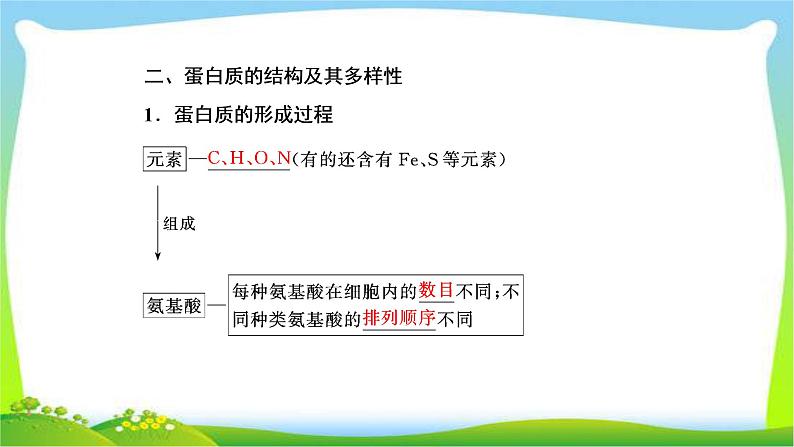 人教版高考生物总复习1.3生命活动的主要承担者—蛋白质完美课件PPT05