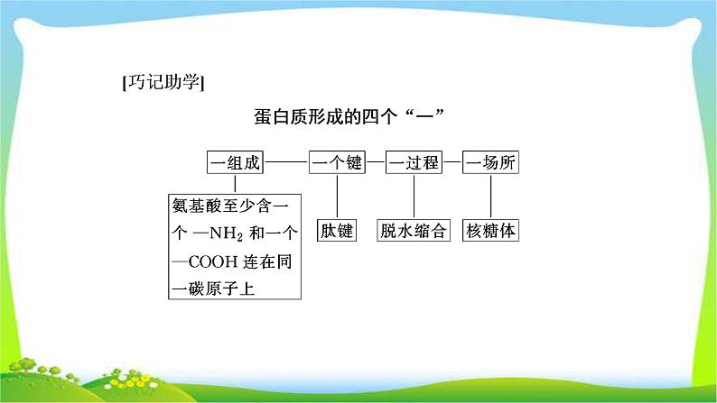 人教版高考生物总复习1.3生命活动的主要承担者—蛋白质完美课件PPT07