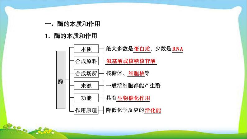 人教版高考生物总复习3.1降低化学反应活化能的酶完美课件PPT04