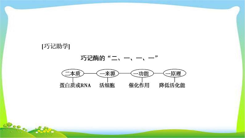 人教版高考生物总复习3.1降低化学反应活化能的酶完美课件PPT05