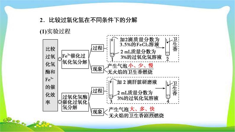 人教版高考生物总复习3.1降低化学反应活化能的酶完美课件PPT06