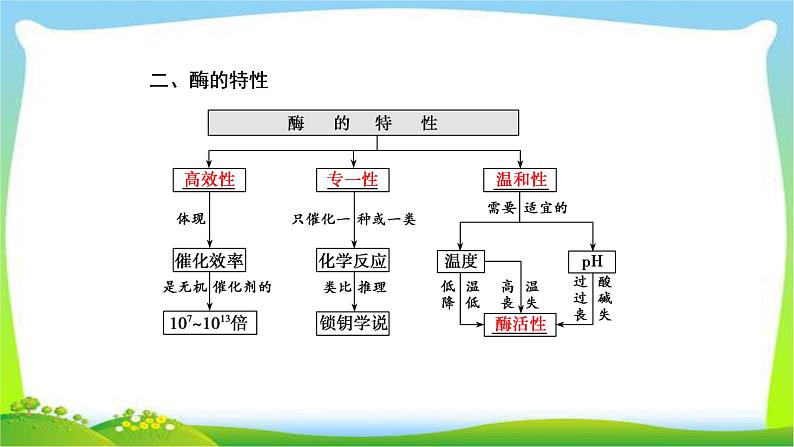 人教版高考生物总复习3.1降低化学反应活化能的酶完美课件PPT08