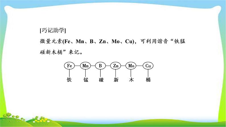 人教版高考生物总复习1.2细胞中的元素和化合物完美课件PPT第5页