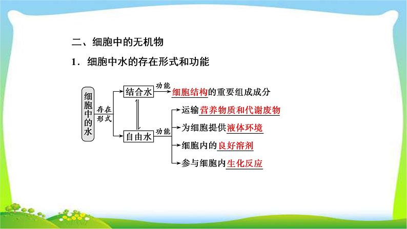 人教版高考生物总复习1.2细胞中的元素和化合物完美课件PPT第7页