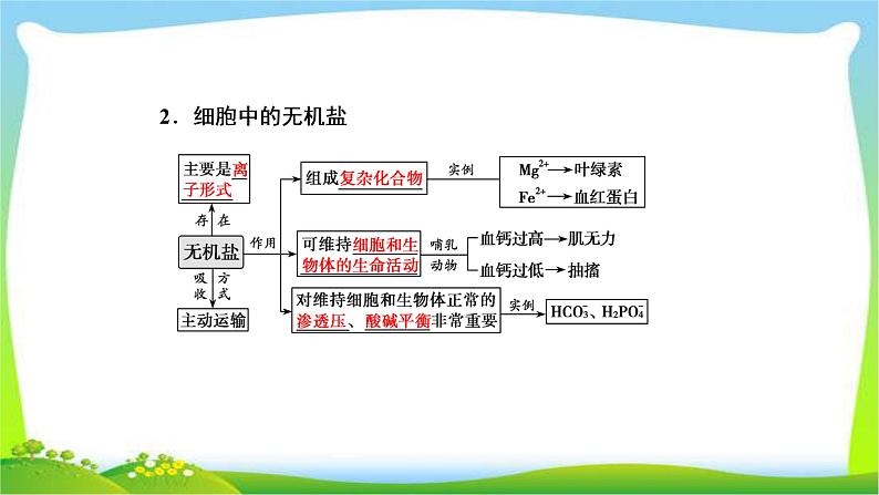 人教版高考生物总复习1.2细胞中的元素和化合物完美课件PPT第8页