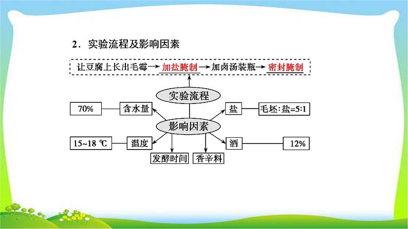 人教版高考生物总复习12.2传统发酵技术的应用完美课件PPT08