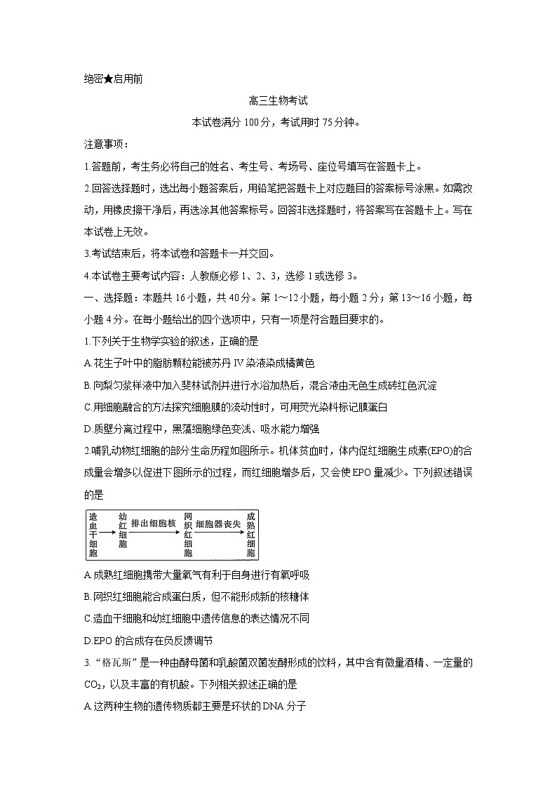 广东省2022届高三上学期11月联考生物含答案 试卷01