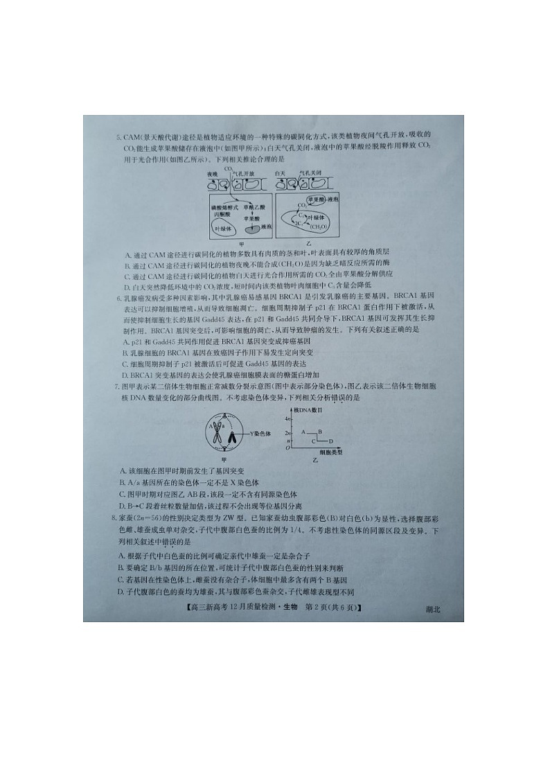 2021年湖北省新高考联考协作体高三12月联考生物试题第2页