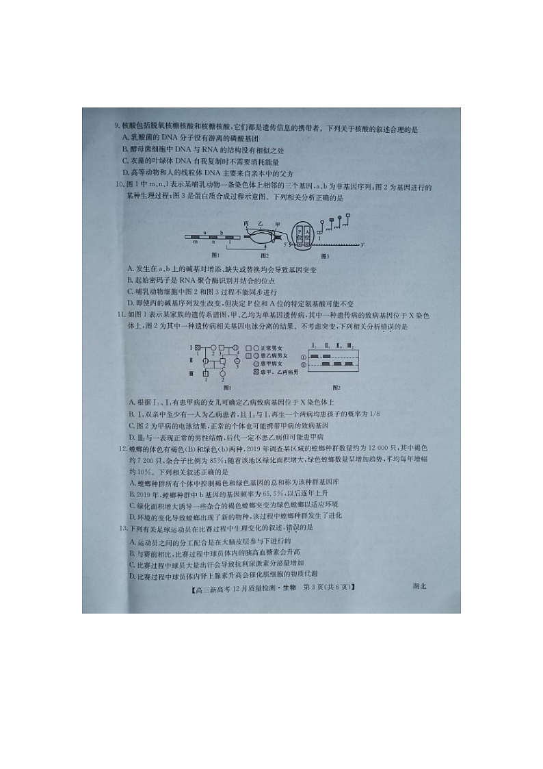 2021年湖北省新高考联考协作体高三12月联考生物试题第3页