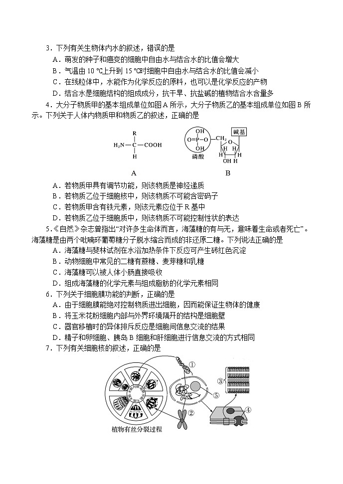 河南省南阳市2022届高三上学期期中考试生物试题含答案02