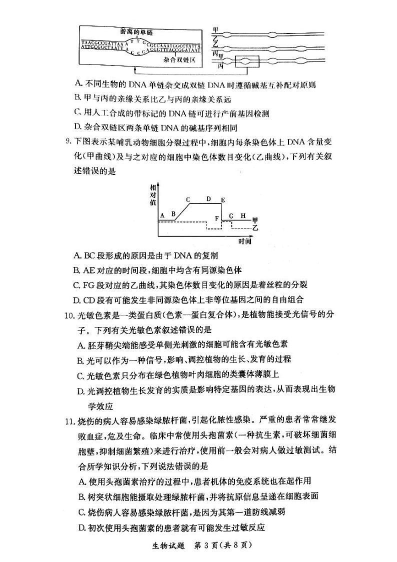 湖南省名校联考联合体2021-2022学年高二上学期12月大联考生物试题扫描版含解析03