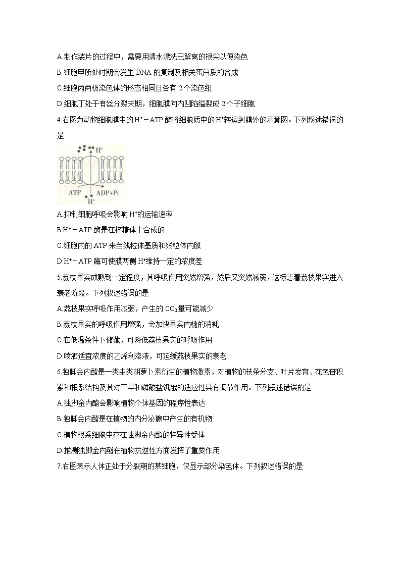 辽宁省沈阳市郊联体2021届高三下学期一模考试 生物 Word版含答案练习题02