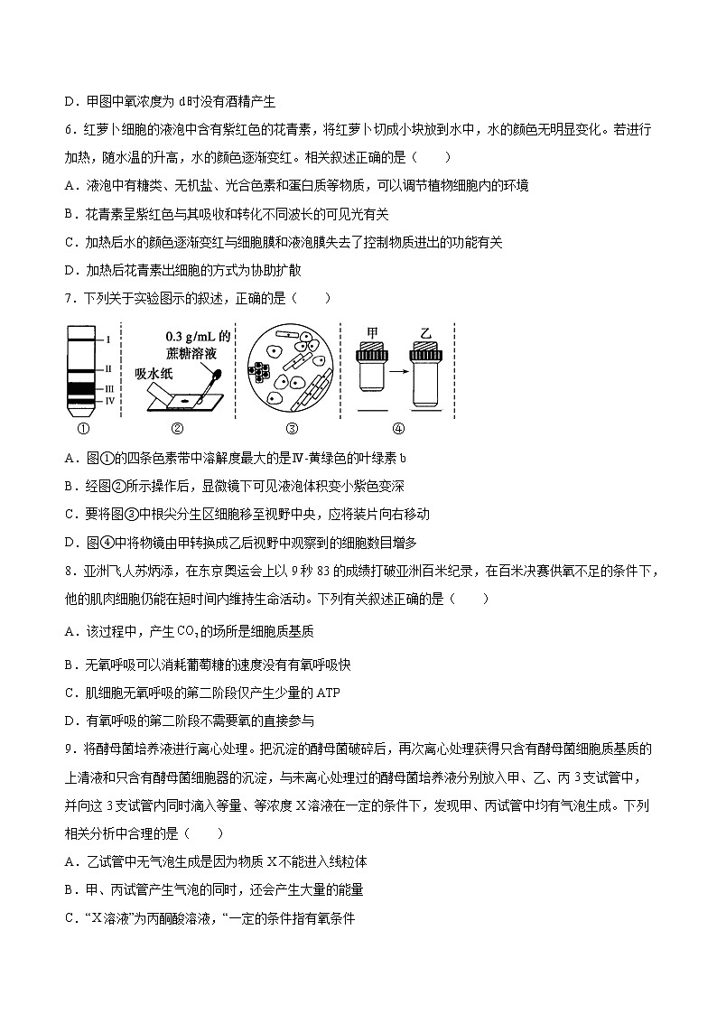 人教版（2019）高中生物必修一第5章 细胞的能量供应和利用 单元检测（含答案）第3页
