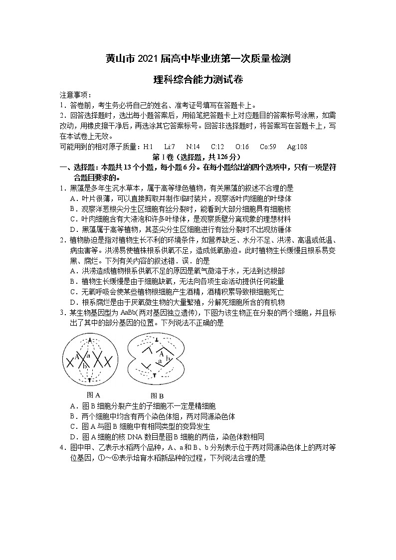 安徽省黄山市2021届高三第一次质量检测理综生物试题 Word版含答案01