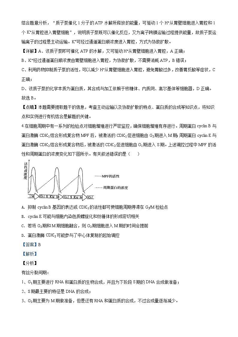 2020届山东省日照市高三一模生物试题第3页