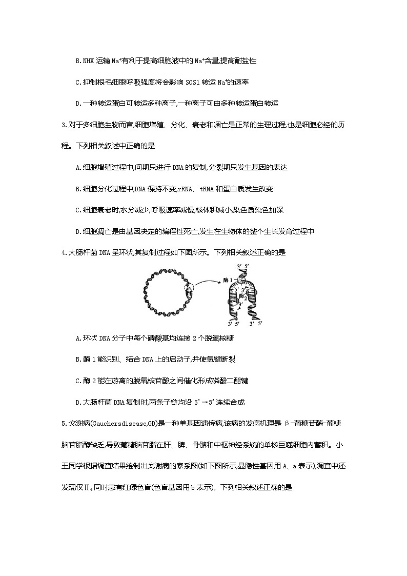 江苏省百校大联考2022届高三上学期第二次考试生物含答案第2页