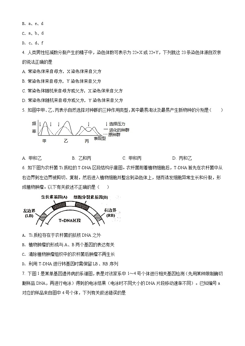2020届北京市延庆区高三第一次模拟（3月）生物试题02