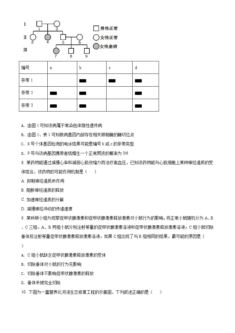 2020届北京市延庆区高三第一次模拟（3月）生物试题03