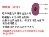 细胞膜控制细胞与周围环境的联系PPT课件免费下载