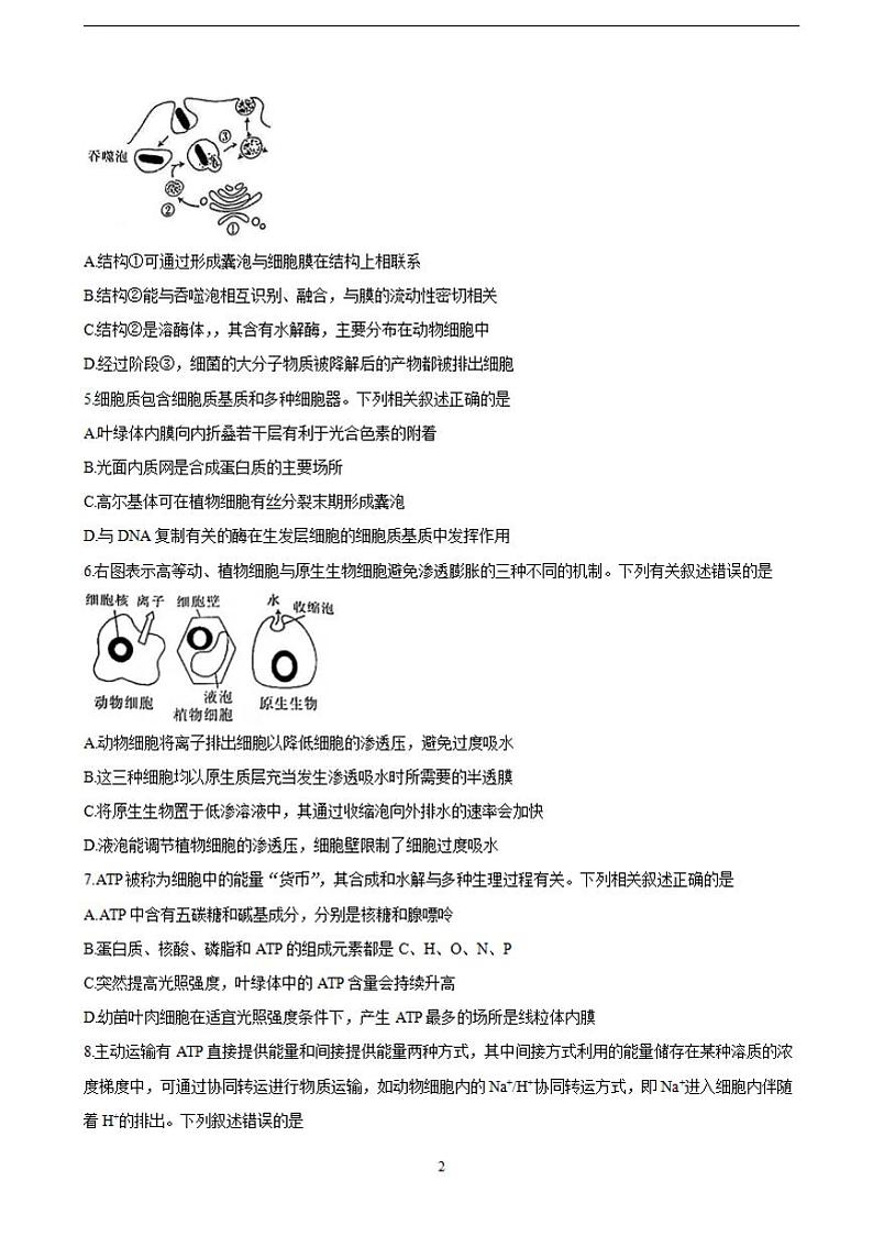 2022届福建省南平市高三上学期10月联考 生物（含答案）练习题第2页