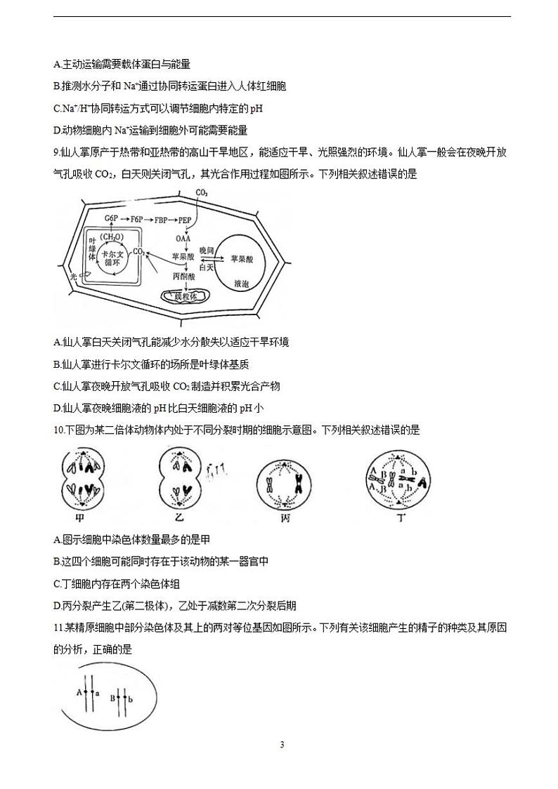 2022届福建省南平市高三上学期10月联考 生物（含答案）练习题第3页