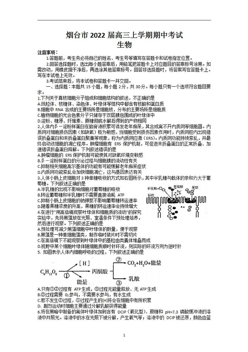 2022届山东省烟台市高三上学期期中考试生物试题（含答案）01