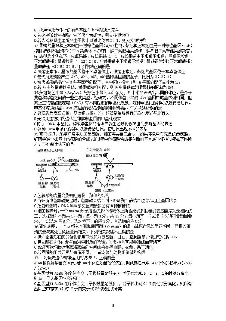 2022届山东省烟台市高三上学期期中考试生物试题（含答案）03